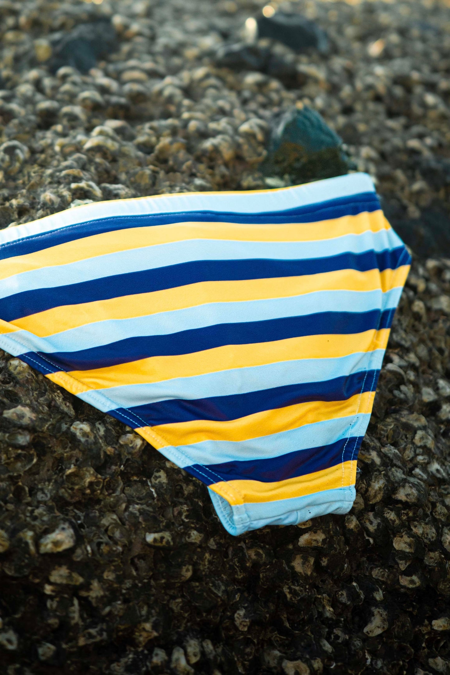 Malibu Brief Swimwear